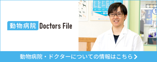 動物病院 Doctors File