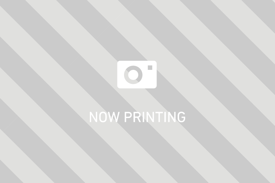 予防薬、健康診断キャンペーンが始まりました！！